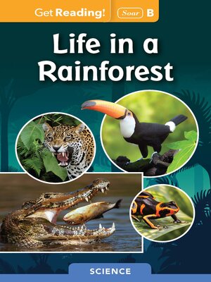 cover image of Life in a Rainforest